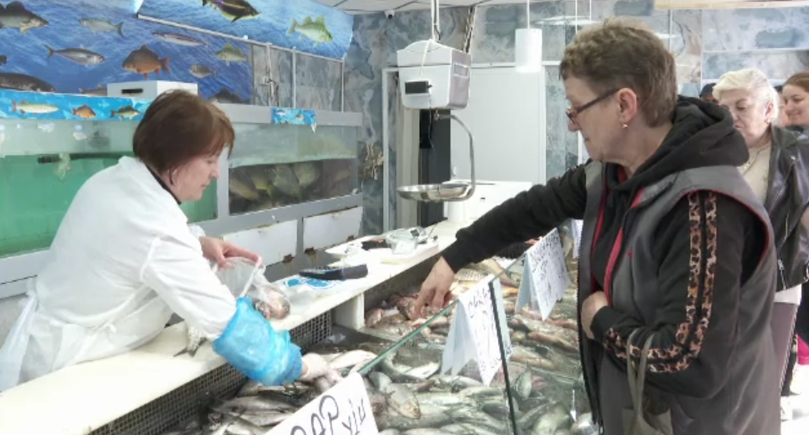 A apărut „regina peștilor” de la Marea Neagră. Scrumbia se vinde la preț de trufanda