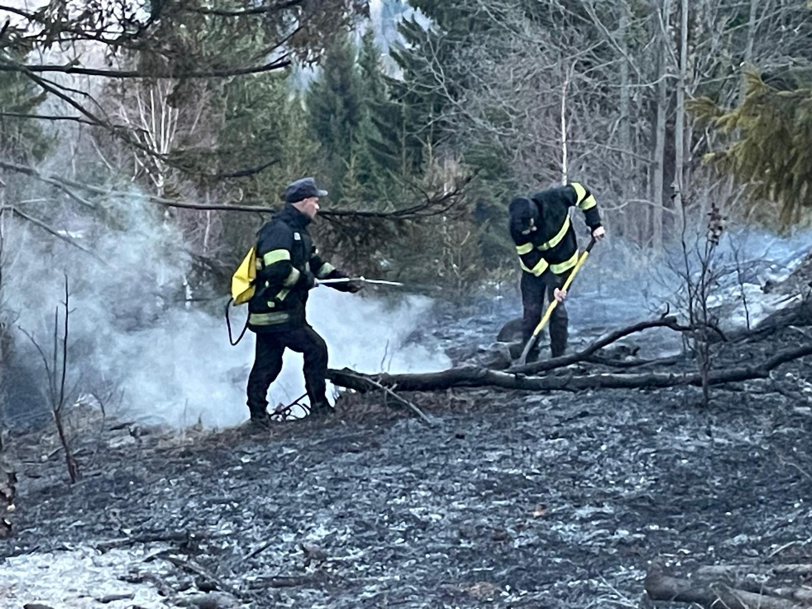 Pompierii din Bacău și Neamț intervin zilnic la incendii de vegetație. Numai &icirc;n ultimele 24 de ore au fost 10 intervenții