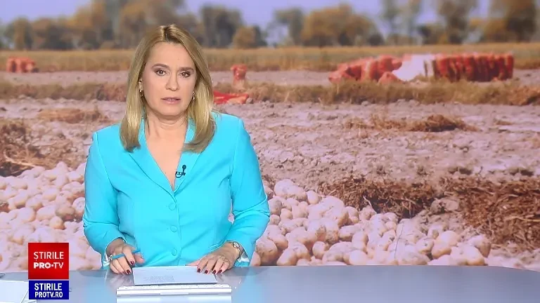 Leguma delicioasă care a apărut în piețe. Bucătarii se bat pe ea, deși costă 25 de lei kilogramul