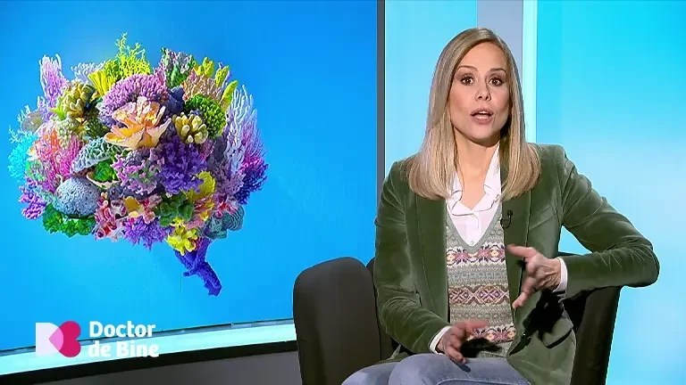 Cum arată arhitectura somnului? Pentru toți pacienții cu epilepsii, inclusiv cele controlate, aceste informații sunt vitale