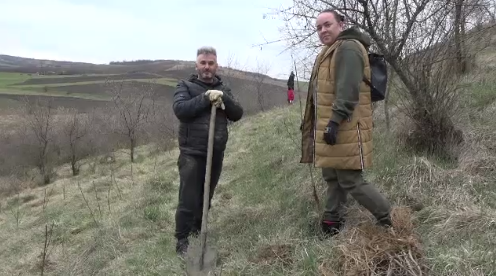 Mii de copaci, plantați deja &icirc;n pădurile țării. Secretul unui localnic de pe Valea Ulieșului, pentru regenerarea naturii