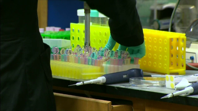 Noi cazuri de malarie &icirc;n Rom&acirc;nia. Doi copii din Africa au fost diagnosticați după ce au ajuns &icirc;n Iași, la o rudă