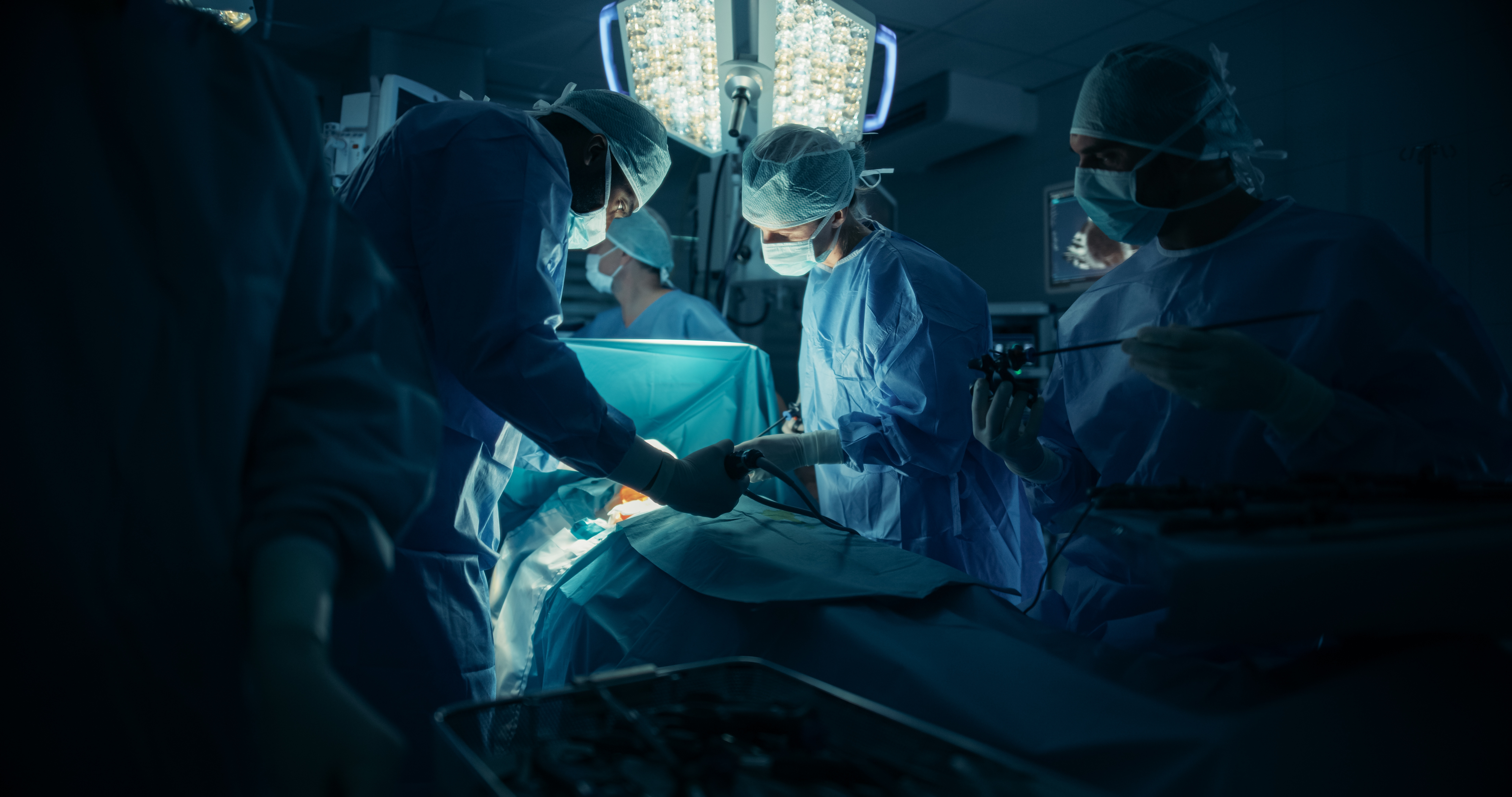 Vaticanul anunță că pacienții catolici pot primi transplanturi de la animale. Documentul papal pune o singură condiție