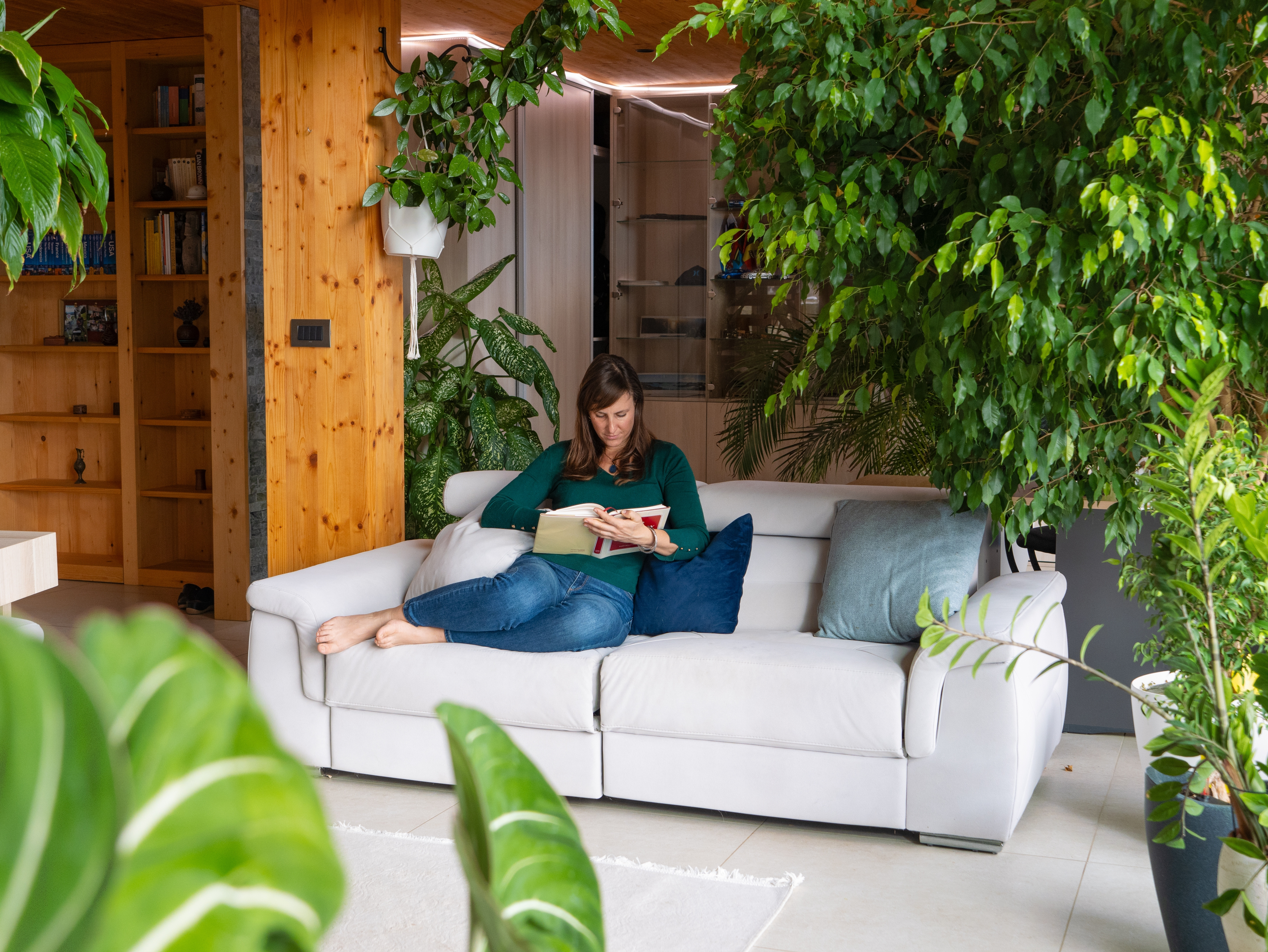 Plante Feng Shui pentru energie pozitivă și armonie &icirc;n casă. Ce flori atrag noroc și prosperitate