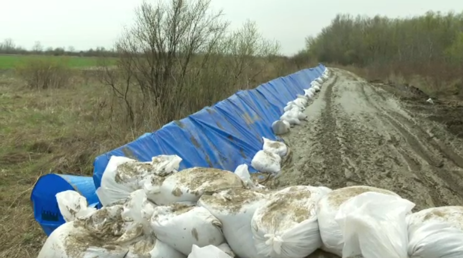 Viitură puternică pe râul Putna: familii evacuate, intervenții de urgență cu diguri din saci de nisip