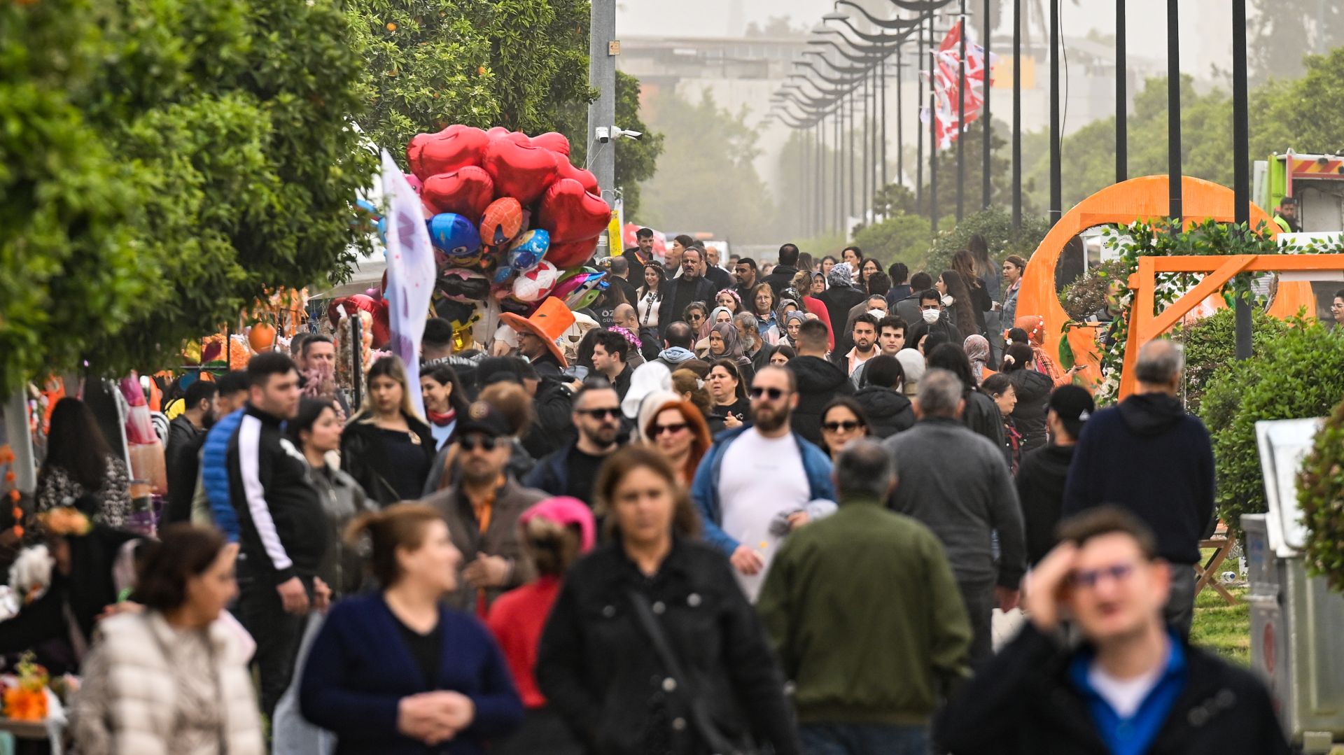 Guvernul interzice cumulul pensiilor speciale cu salariul la stat: reducere de 85% pentru cei care rămân în activitate — image 5