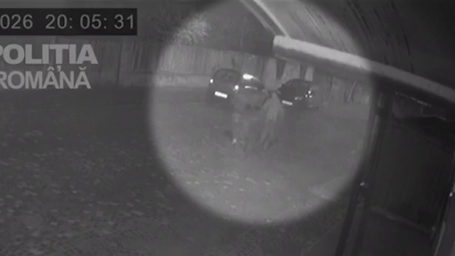 Doi tineri din Târgu Secuiesc au tăiat într-o noapte anvelopele de la 14 mașini, una după alta. VIDEO