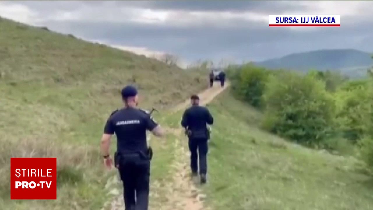 Un localnic din județul Vâlcea a văzut cum un urs i-a atacat animalele ...
