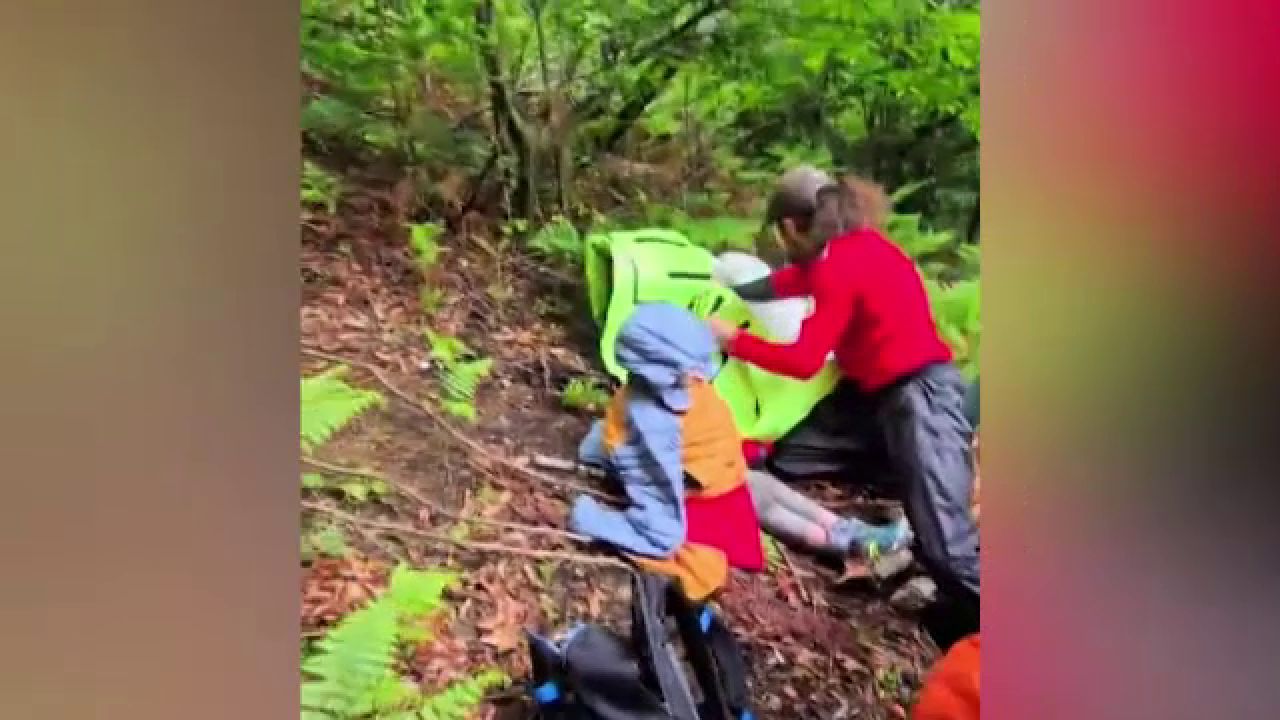 Cum a fost salvat copilul de cinci ani din pădure, după aproape două zile. „L-am momit cu ciocolată”