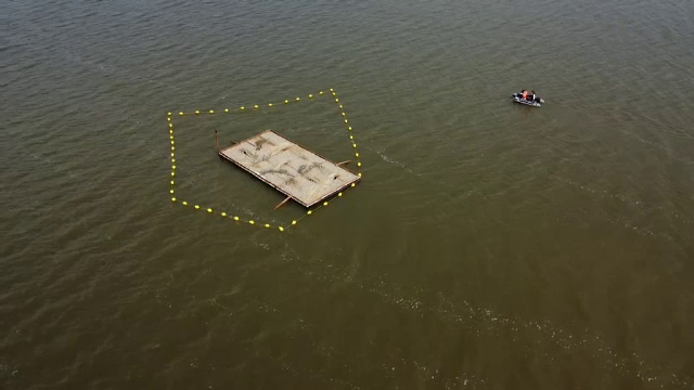 Insule plutitoare au fost instalate pe Lacul Bistreț pentru păsările sălbatice, Zona se întinde pe aproape 2.000 de hectare