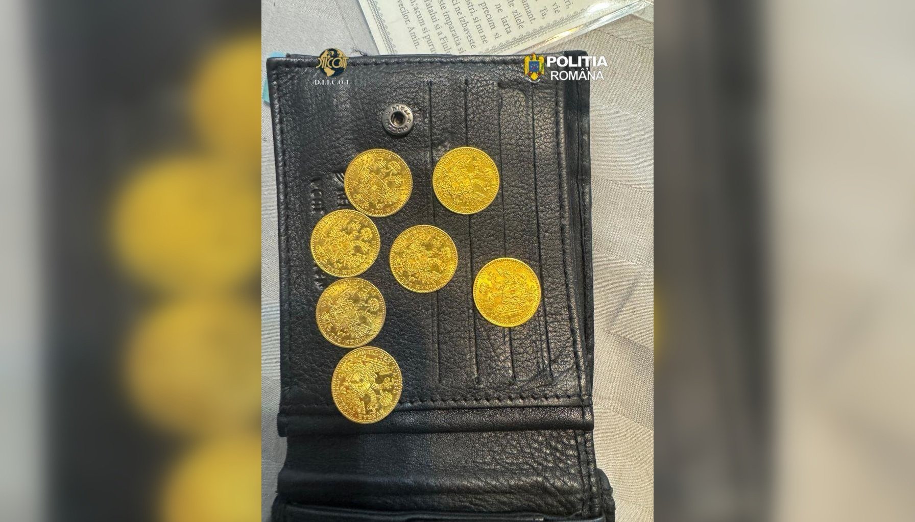 Trei bărbaţi, acuzaţi că au furat ducaţi imperiali habsburgi dintr-o casă din Austria. Percheziţii în Satu Mare