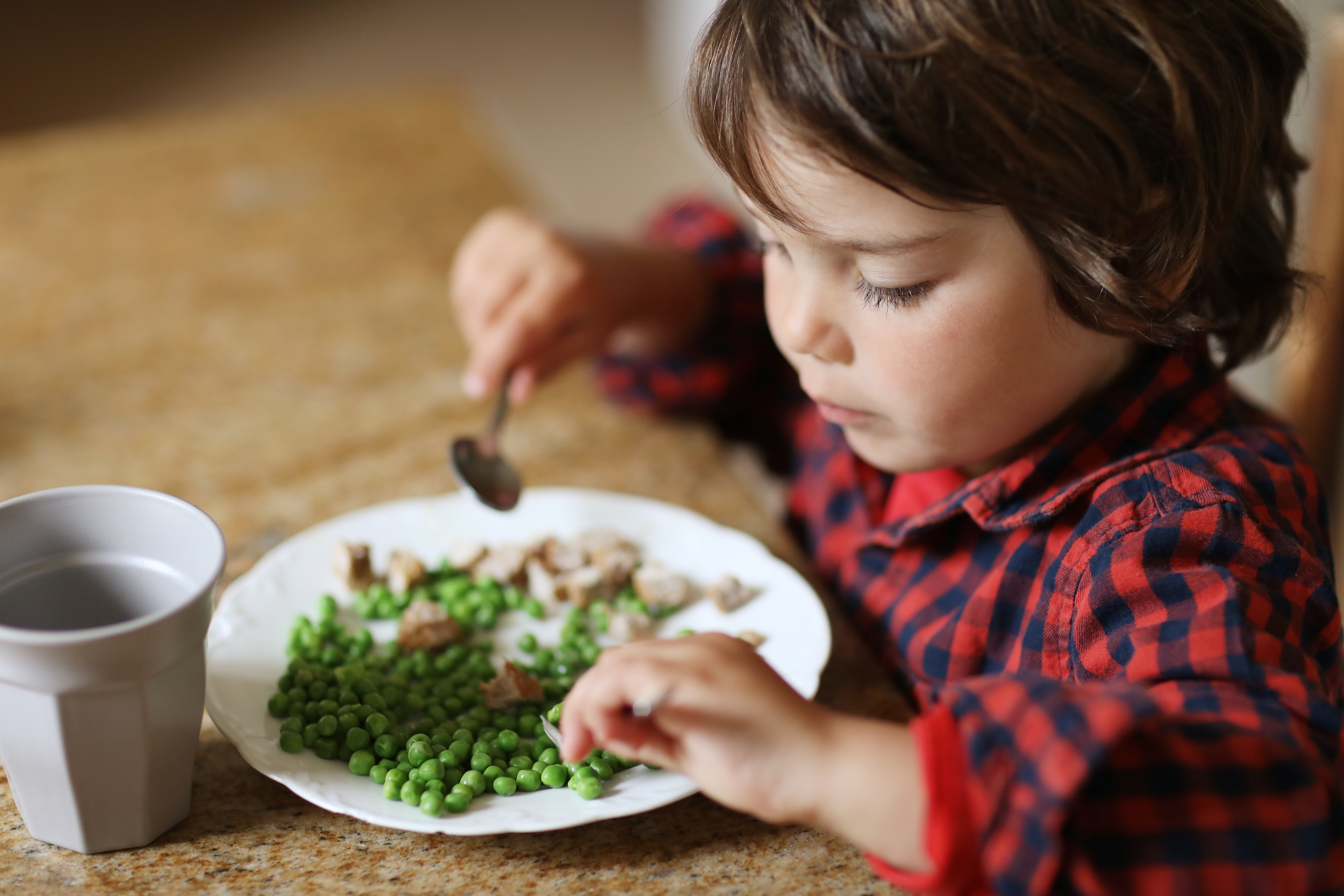 Educația alimentară a copiilor. Ce înseamnă să înveți să mănânci sănătos încă din copilărie