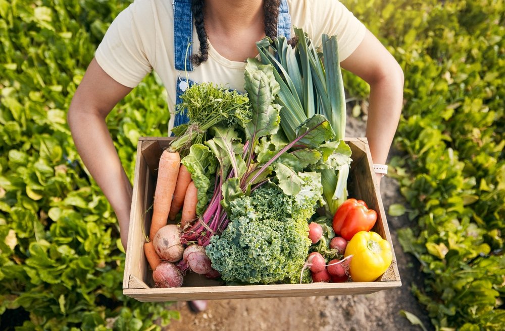 Ce înseamnă alimentația sustenabilă și cum reducem risipa. 5 rețete simple cu impact redus asupra mediului