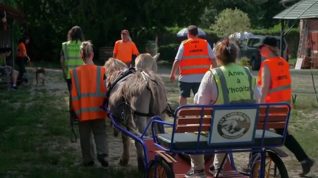 O terapie neobișnuită îi ajută pe pacienții cu afecțiuni psihice din Franța. Rezultatele sunt promițătoare