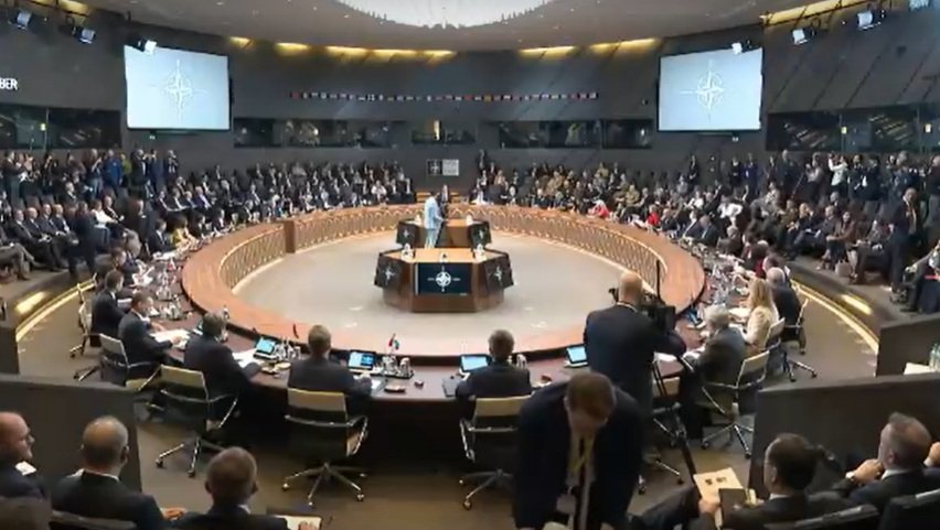 Ce le-a cerut România aliaților din NATO după inci