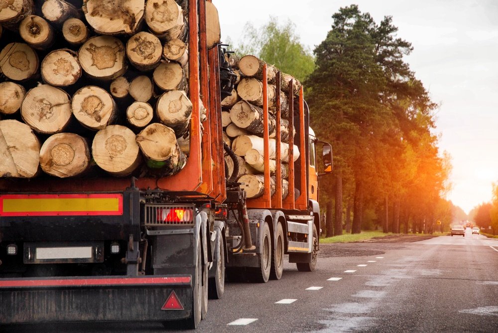 Captură de peste 7,2 miliarde de euro într-un transport de l