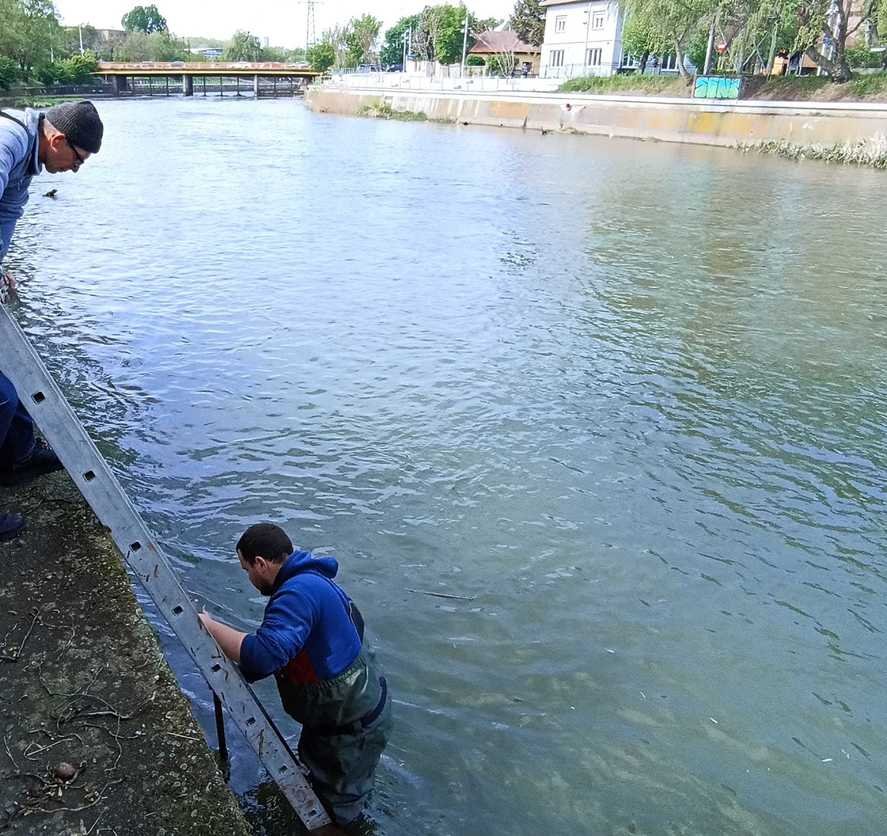 Un copil de opt ani a dispărut în apele Someșului. Este căutat de autorități