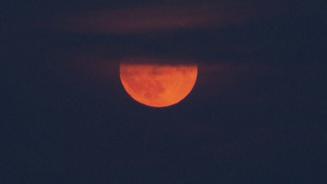 Luna capsuna 6