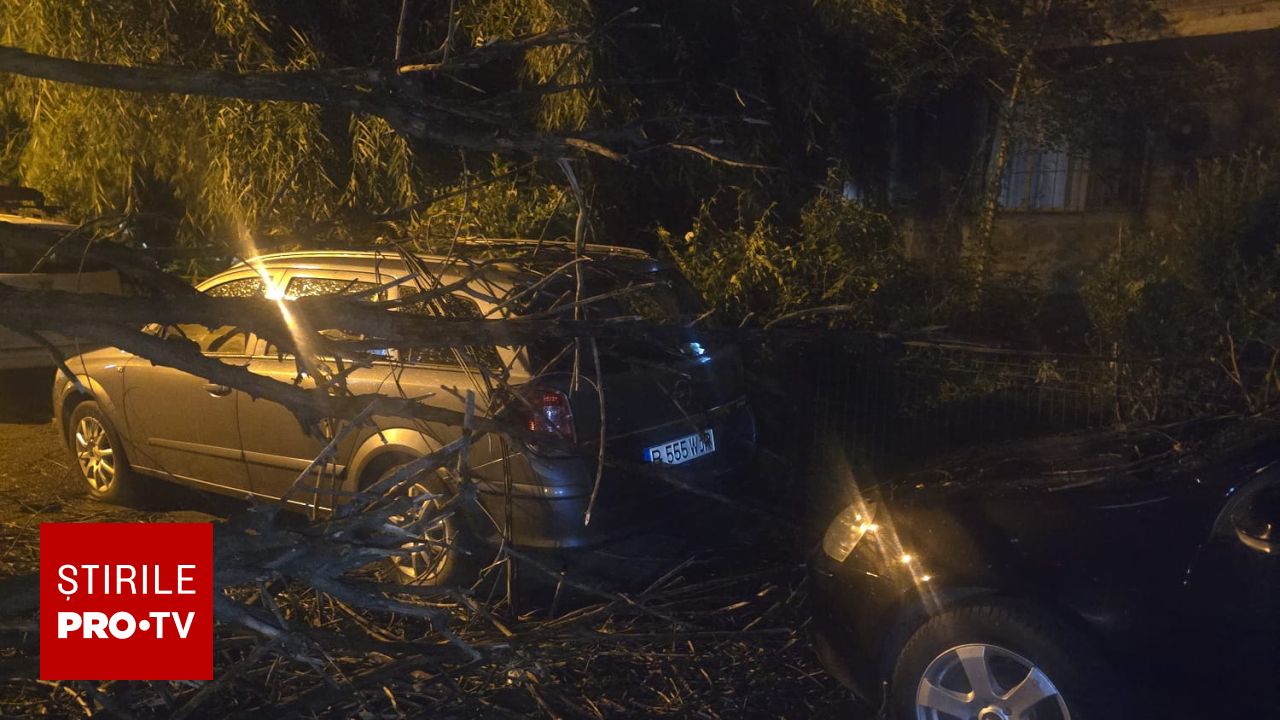 Poza pentru articolul Furtuna a făcut ravagii în București și Ilfov: peste 900 de intervenții, un mort și Cod roșu de vijelie
