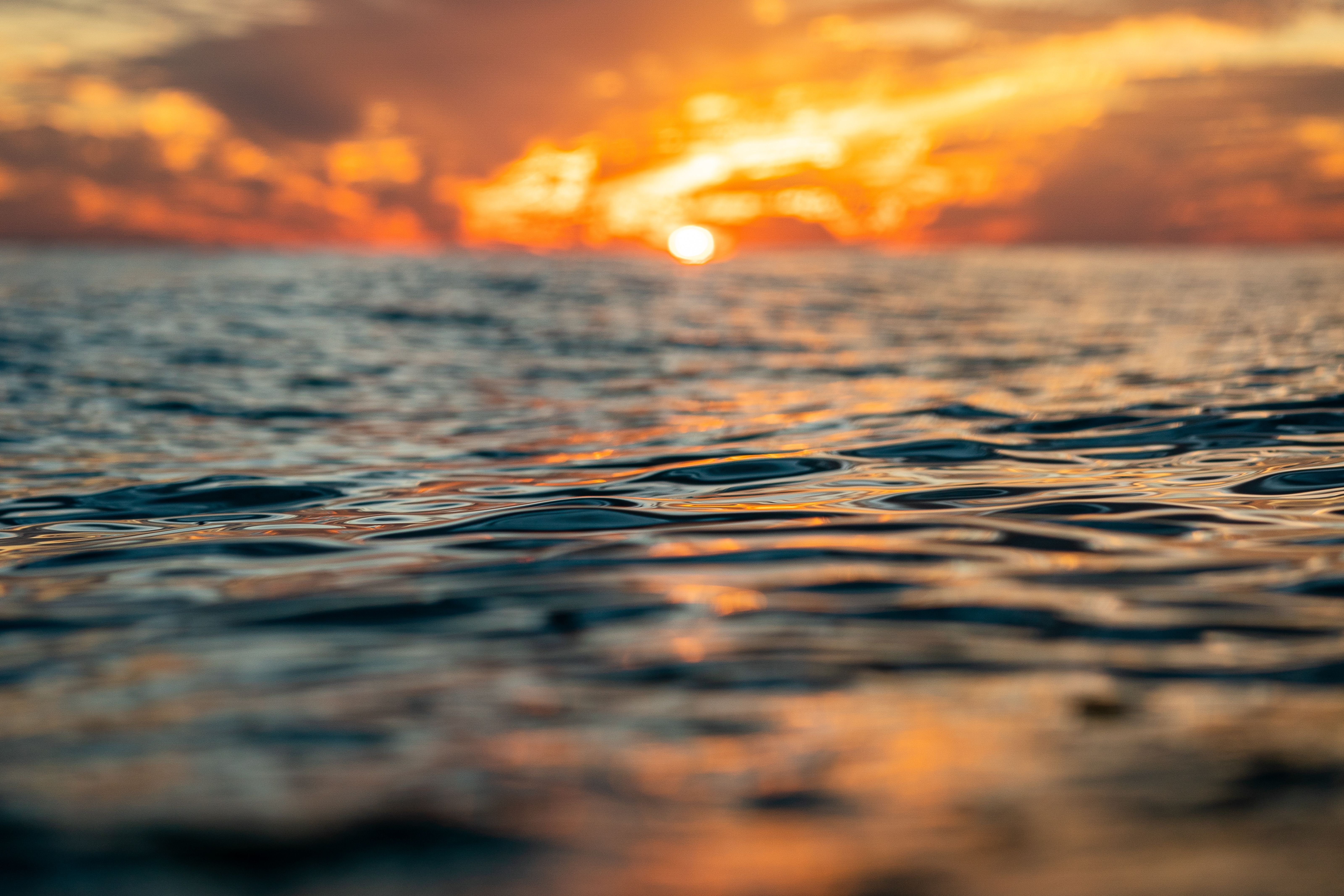 Oceanele lumii au înregistrat cea mai caldă lună iunie. Fenomenele care au împins către noi recorduri de temperaturi în 2026
