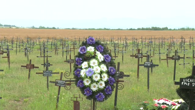 Reacția apărării familiei Pașca: „Nu erau neglijați, s-a făcut tot ce s-a putut”. Ce spune avocatul despre milioanele de lei