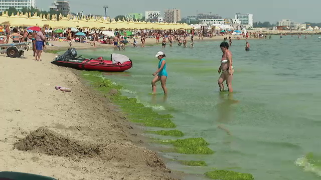 Luna iulie scumpește vacanța la mare: „26 lei o bere la draft, foarte mult”. Turiștii înoată în alge: ”Umplem roabele, cărăm”