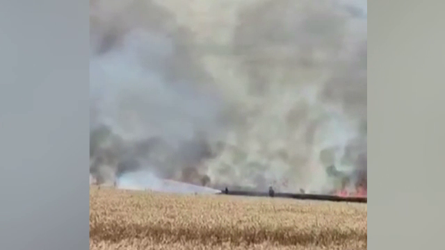 Două hectare de grâu au ars pe un câmp din Prahova. Ce amenzi riscă cei care dau foc vegetației uscate