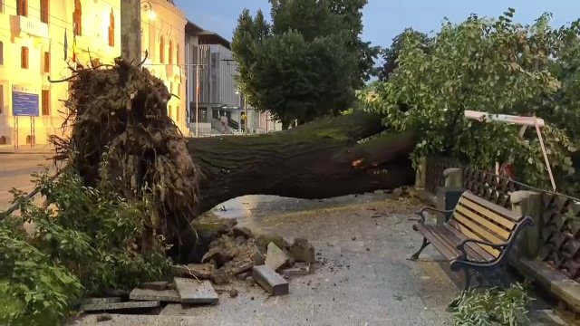 Vântul, care a bătut și 70 de kilometri pe oră, a făcut ravagii în Galați. Mai mulți copaci au căzut peste mașini