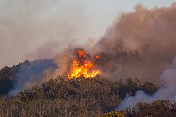 Un incendiu forestier face ravagii în Catalonia. 45.000 de persoane au fost sfătuite să rămână în casele lor. GALERIE FOTO
