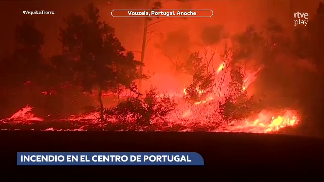Spania se luptă cu incendii devastatoare în plin sezon turistic. Peste 1.300 de hectare au fost deja mistuite de flăcări