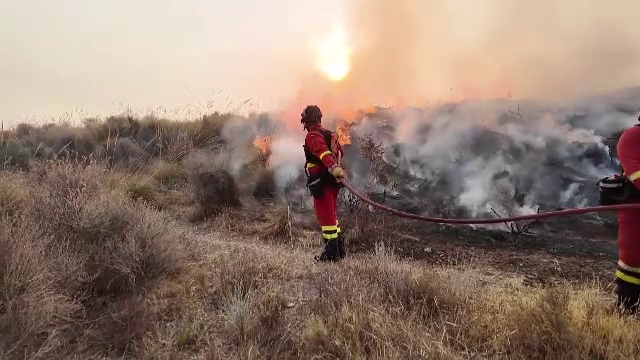 Tragedie în Spania: 11 oameni au murit într-un incendiu de vegetație, pe fondul valului de caniculă din sudul țării