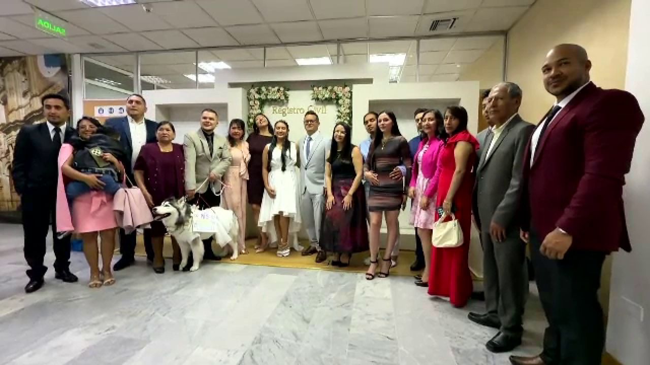 Tradiția inedită de la tot mai multe nunți din Ecuador. Cățeii aduc verighetele și „semnează” actele