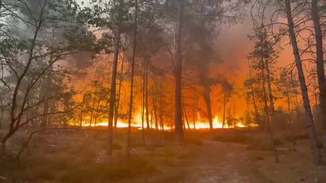 Temperaturi de foc în Europa. Un incendiu de proporții a izbucnit lângă Paris, 13 oameni au murit în Almeria