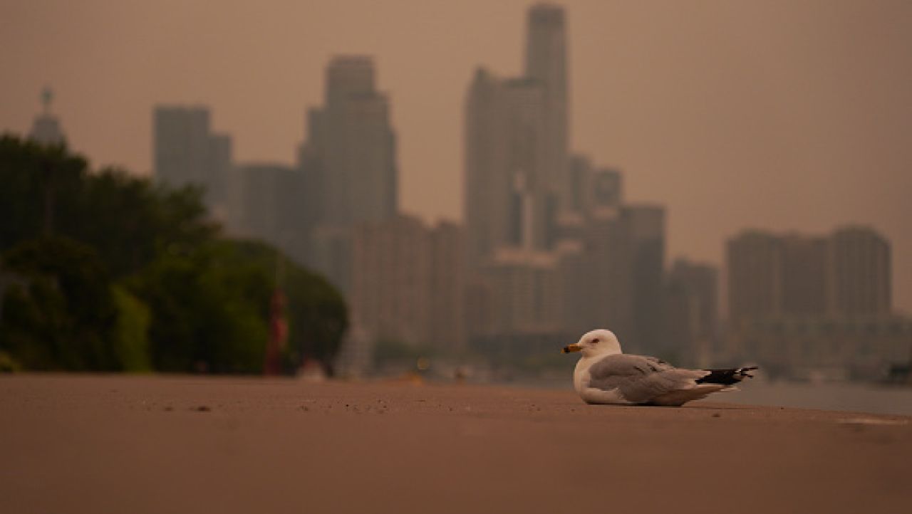 Toronto devine cel mai poluat oraș din lume din cauza fumului de incendii de pădure