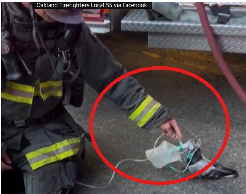 VIDEO viral. Un pompier american a salvat un porumbel cu o mască de oxigen. Pasărea a zburat după ce ”și-a curățat plămânii”