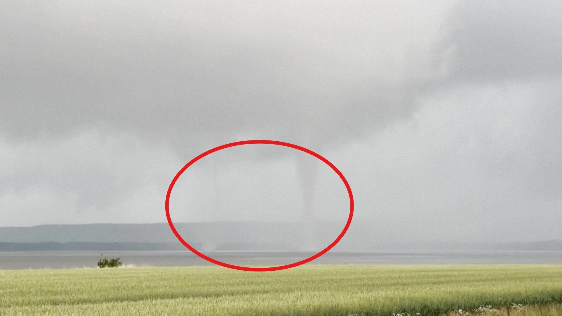 Un fenomen foarte rar a fost filmat în Suedia: o tornadă dublă. ”Părea că apa se agita în două locuri la suprafață”
