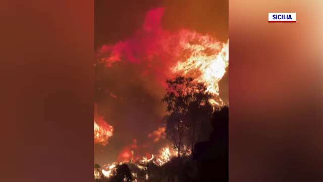 Incendiile fac ravagii în vestul Europei. Un bărbat din Sicilia s-a întors în mijlocul flăcărilor pentru a-și salva câinele