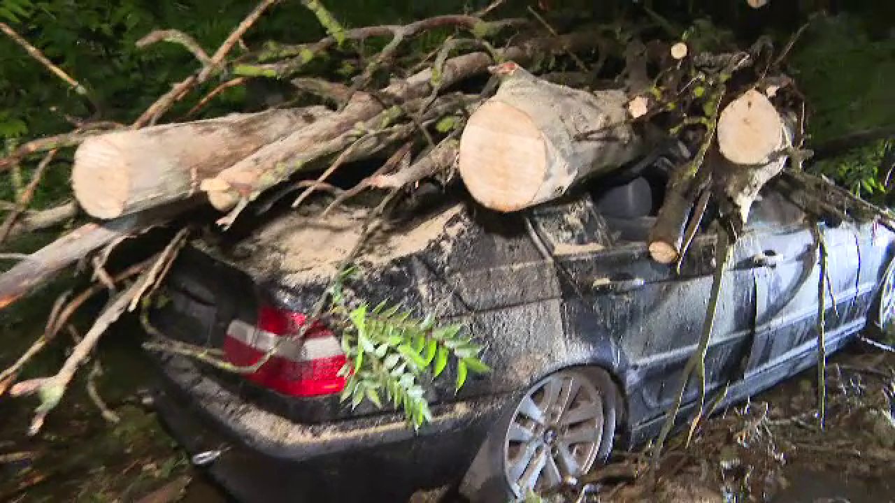 Furtunile au făcut prăpăd în mai multe județe. Copaci căzuți peste mașini și locuințe inundate în urma ploilor torențiale