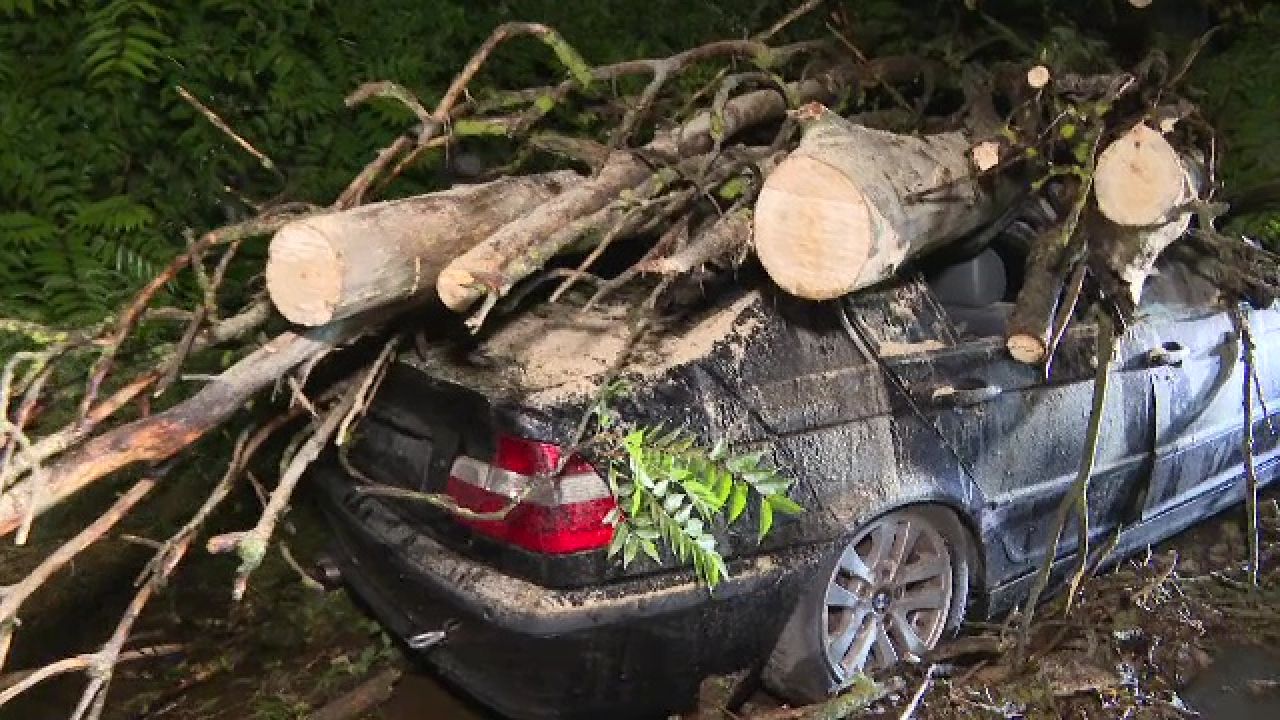Doi bărbați au fost răniți în Târgu Jiu, după ce vijeliile au doborât doi arbori