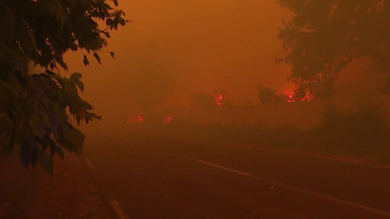 Incendii devastatoare în Franța și Spania. Aeroportul din Bordeaux a fost închis