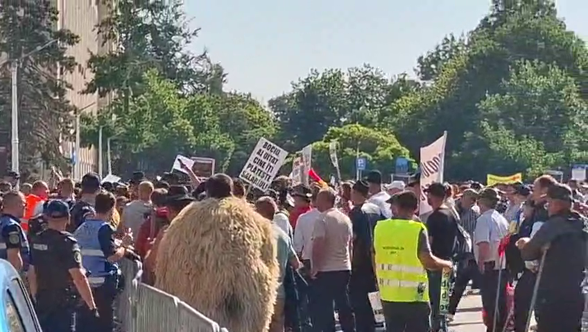 Protest de amploare al fermierilor în fața Guvernului. Oierii anunță că rămân în stradă până își rezolvă revendicările