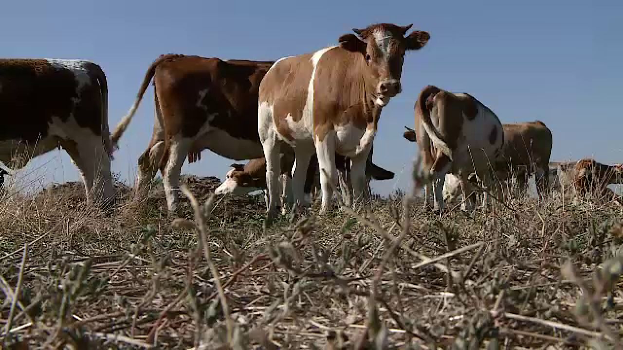 Știrile ProTV