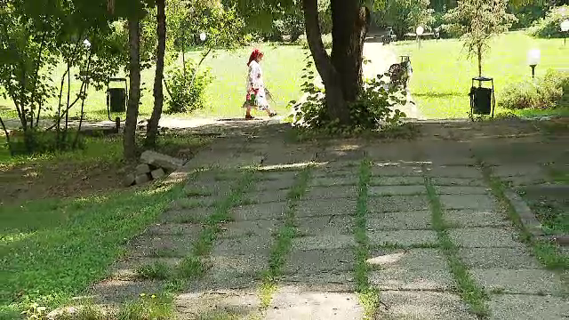 Bucureștenii au votat cum trebuie să fie amenajat Parcul Herăstrău. Reabilitarea va dura 4 ani
