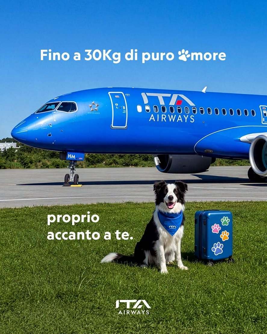 Adio cala avionului: Câinii de talie mare pot călători de acum în cabină pe anumite zboruri din Italia