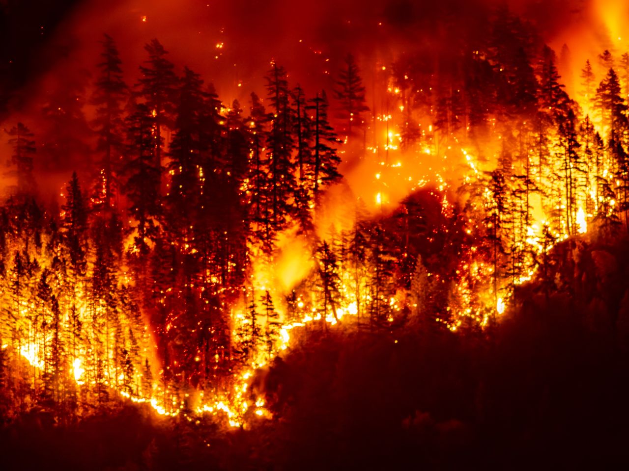 Stare de urgență în Canada. Peste 20.000 de persoane au fost evacuate din calea flăcărilor