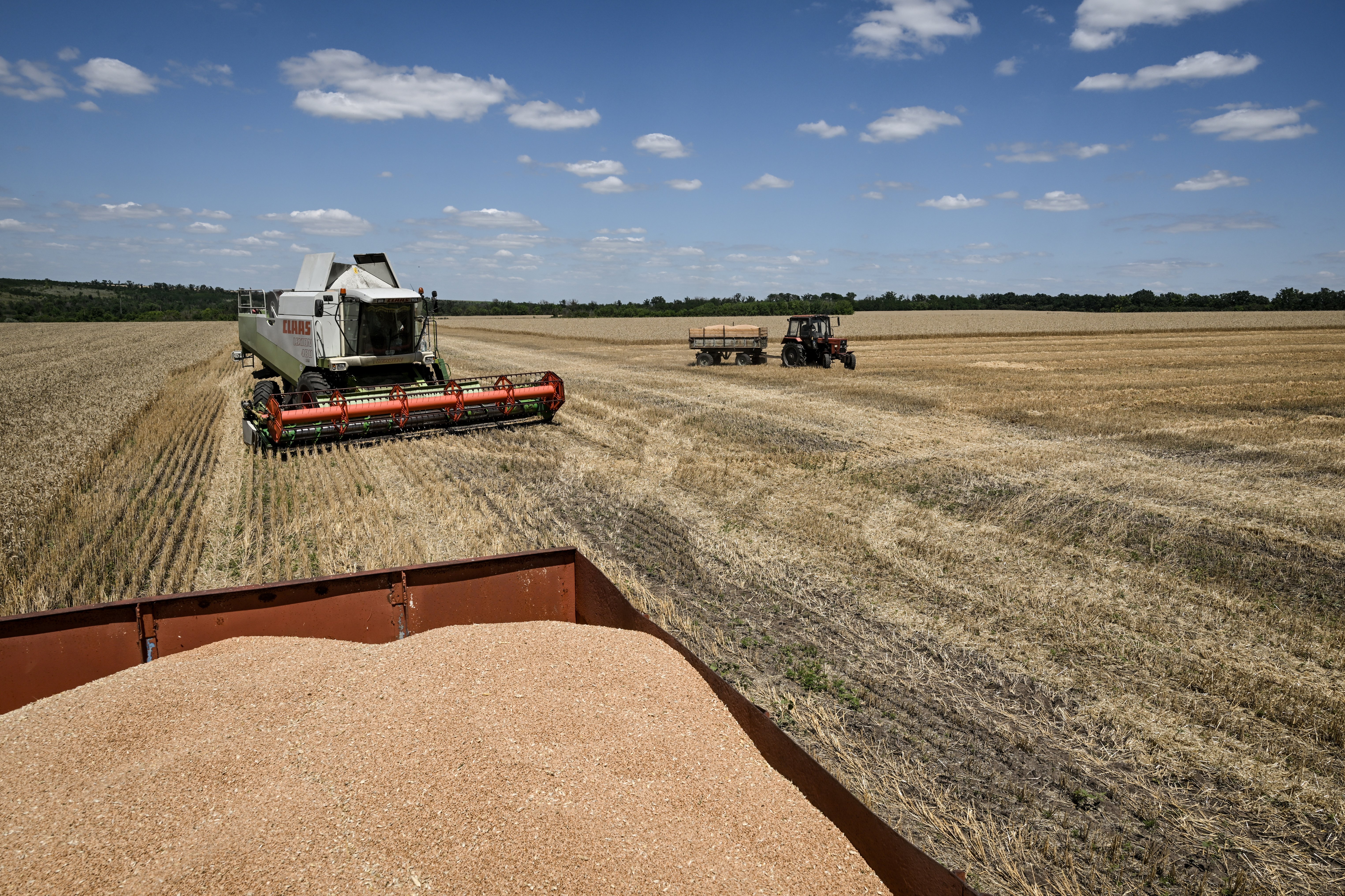 Ruta din România unde ar putea ajunge cerealele din Ucraina. Planul negociat în aceste zile - Reuters