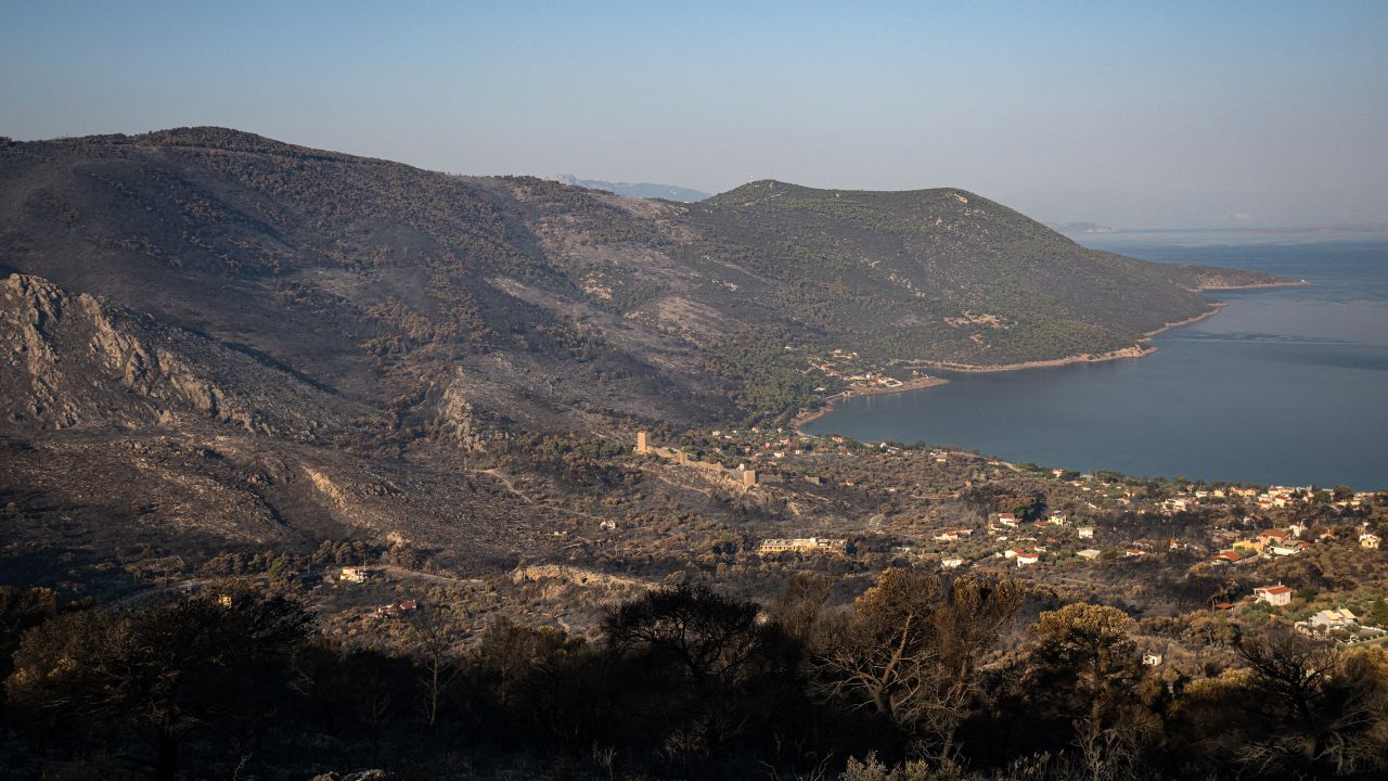 Incendiu de pădure în Halkidiki, Grecia; turiști evacuați pe mare