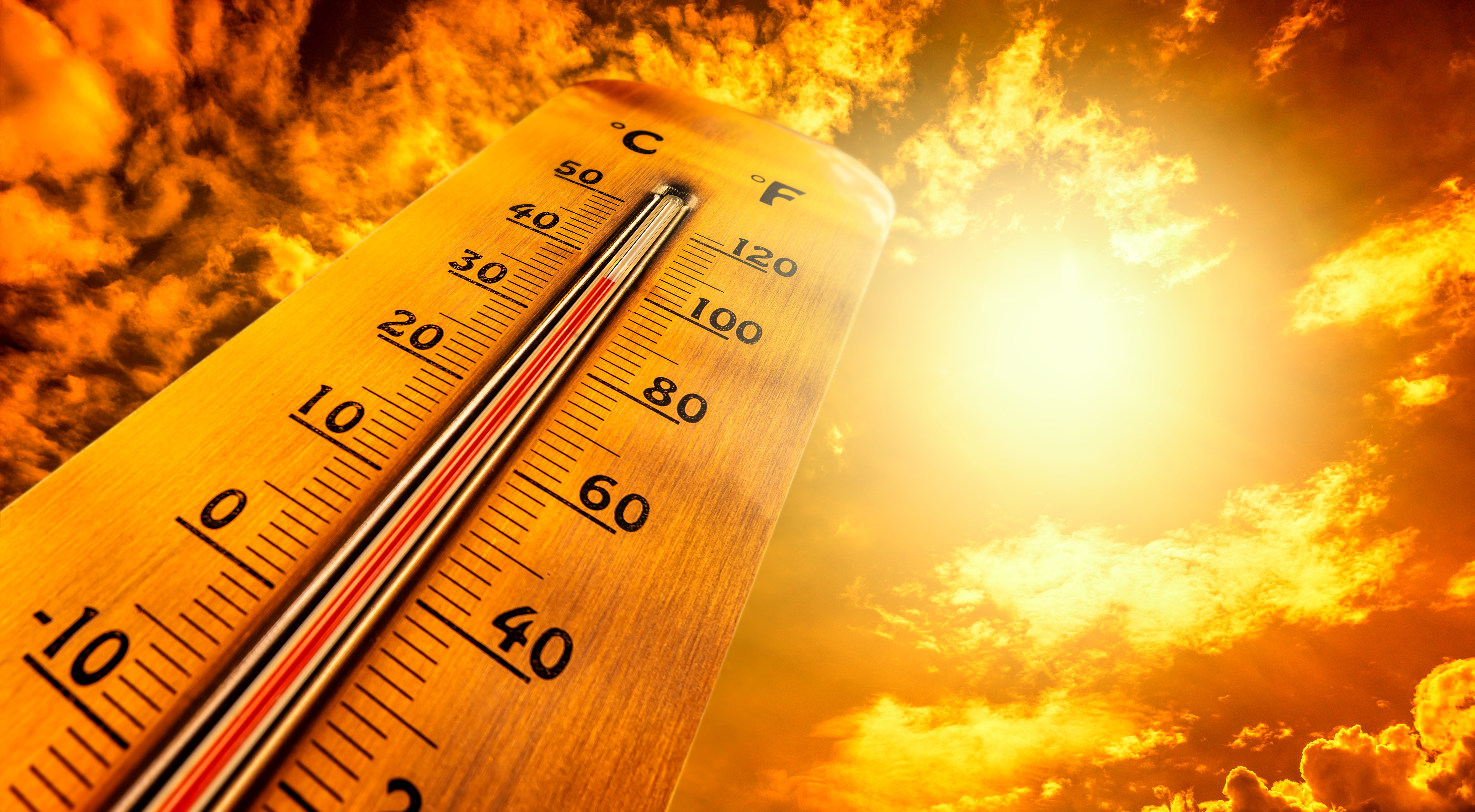 Marea Britanie, lovită de caniculă. S-au înregistrat 38,1 grade Celsius, cea mai ridicată temperatură a anului