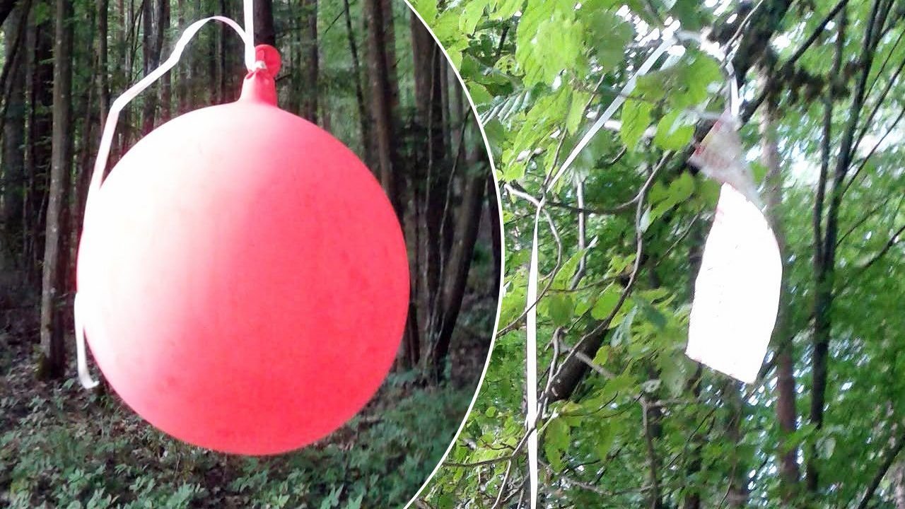 Călătoria spectaculoasă a unui balon de nuntă: a plecat din Berlin și a ajuns după 900 km la granița cu Belarus