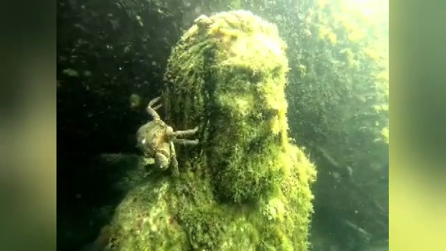 Muzeul „secret” de sub Marea Neagră. Ce pot descoperi turiștii curajoși lângă Cazinoul din Constanța